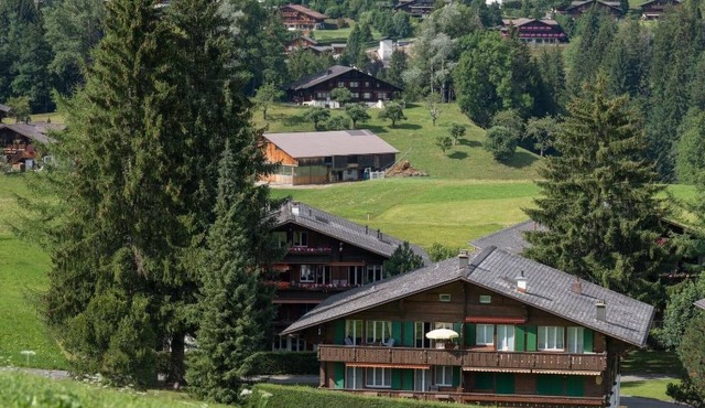 Les Silenes by Interhome in Gstaad