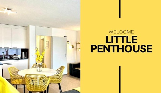 Little Penthouse * in Dietikon