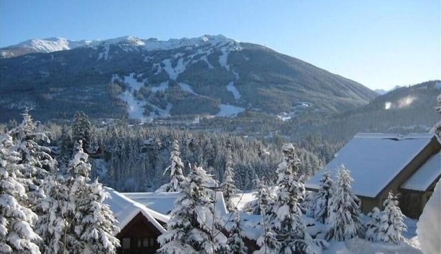 Magnificent Large 4.5 Bedroom Chalet with Spectacular Views SLEEPS 12 in Whistler