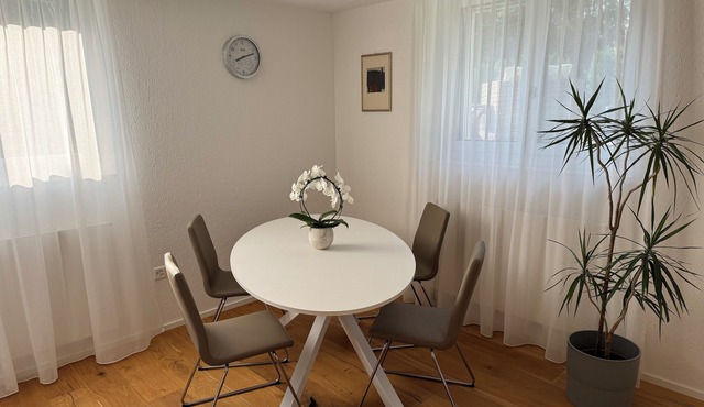 Moderne, Ruhige Gartenwohnung mit Gemütlicher Terrasse Zwischen Stadt und Natur in Oberrüti