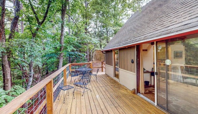 Mountain-view cabin with loft, deck - dogs OK in Rogers