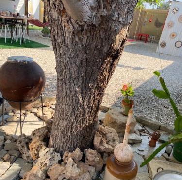 Nefeli's Dollhouse Caravan 3 minutes from Geroskipou Beach in Yeroskipou