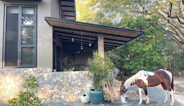 New Loft Barndo w/AC at Big Sky Stables near epic beaches, horses and pickleball in Escamequita
