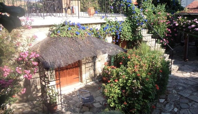Oleander Stone House. Far from the madding crowd surrounded by nature. in Lemona