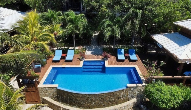 Pristine Reef steps away from Private Beach. in Roatan