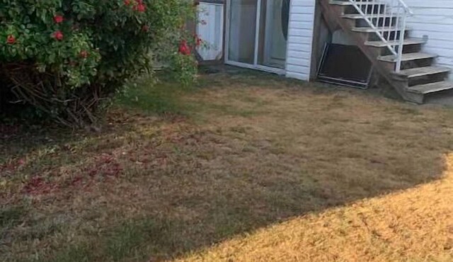 Private suite, separate entrance, central location in Surrey