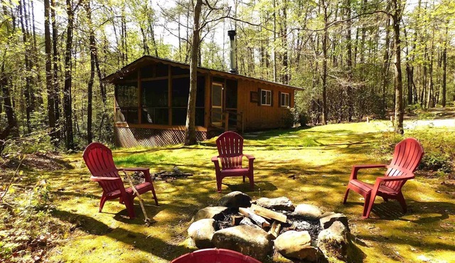 Quiet cabin in the woods, only 10 min from downtown Helen in Sautee Nacoochee