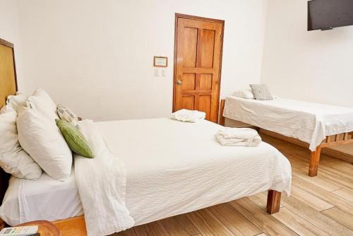 Room in Lodge - Grape 2 - Family room for 5 people in Poneloya