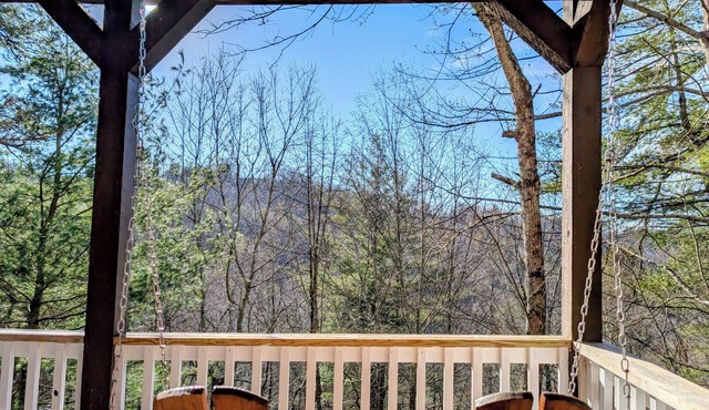 Sensational Sky Valley Chalet 4/3.5 Dog Friendly! in Dillard