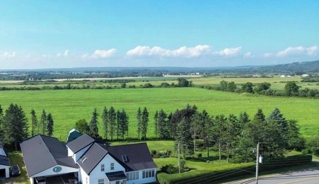 Spacious country oasis. 5-bedroom home on gorgeous grounds with hot tub and pool in Truro