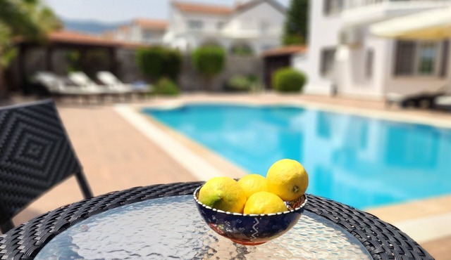 Stunning 4 bedroom/3 bathroom villa with private pool and garden