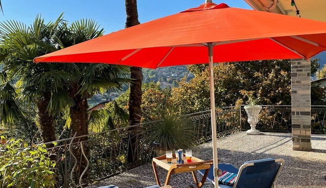 Sunny 4-room apartment with a large terrace lined with palm trees. View of the lake in Caslano