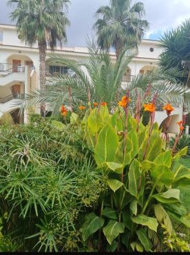 Sunrise Beach Club Coastal Apt- seaside & Pool