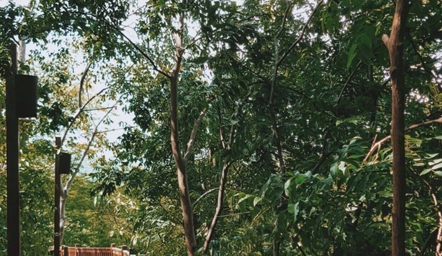 TreeHouse Studio Beachfront Aqua Nicaragua Resort in Tola