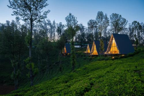 Triangle Valley in Ooty