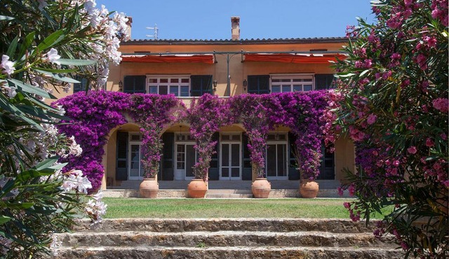 Ville e Cottage Terre di Sacra in Capalbio