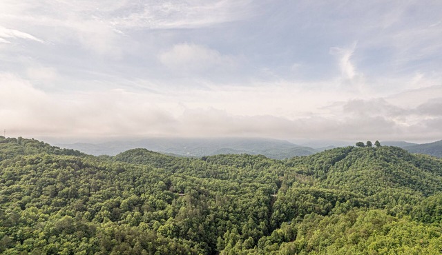 Weddings, Retreats, Large Groups: 3LittleBearsRetreat in Bryson City