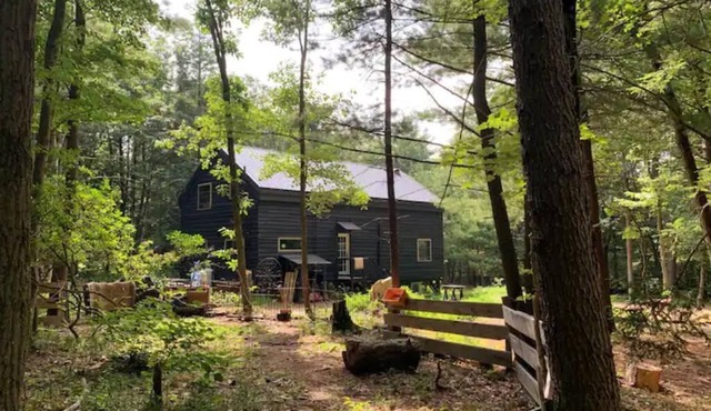 Woodland Retreat on 10 Acres in Lehighton