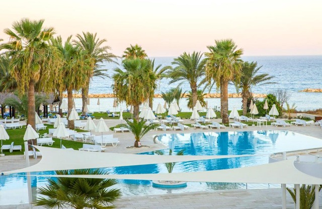 Venus Beach Hotel 