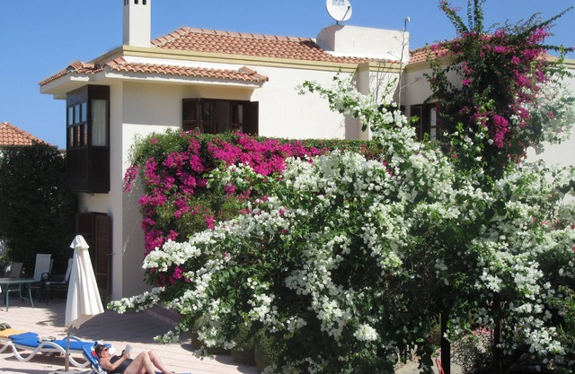 Villa with Pool. Stunning Sea and Mountain Views. Pool and large mature garden