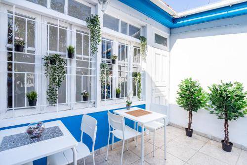 Old Town of Limassol Hostel | 40 m² Hostel ∙ 3 guests
