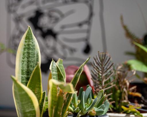 Old Town of Limassol House | MeMeraki Artist Residency