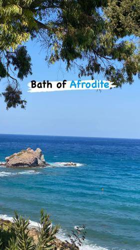 Photo of Others in Paphos