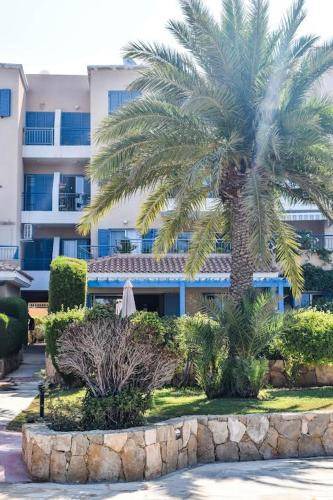 Photo of Others in Paphos