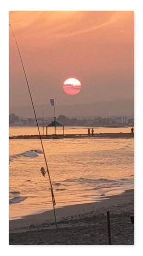 Photo of Others in Pyla