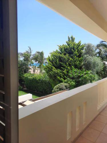 Photo of Others in Pyla