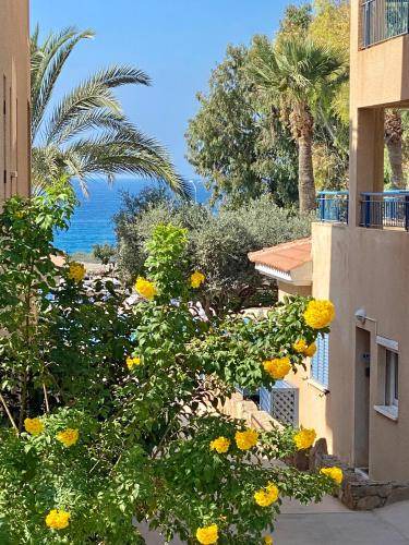 Photo of Others in Paphos
