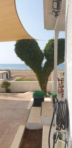 Photo of Others in Pyla