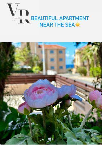 Photo of Others in Paphos