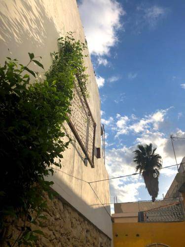 Photo of Others in Larnaca City Centre