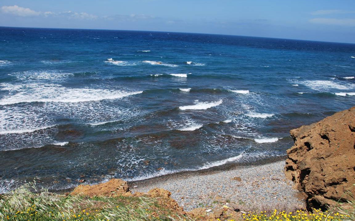 Photo of Others in Pomos