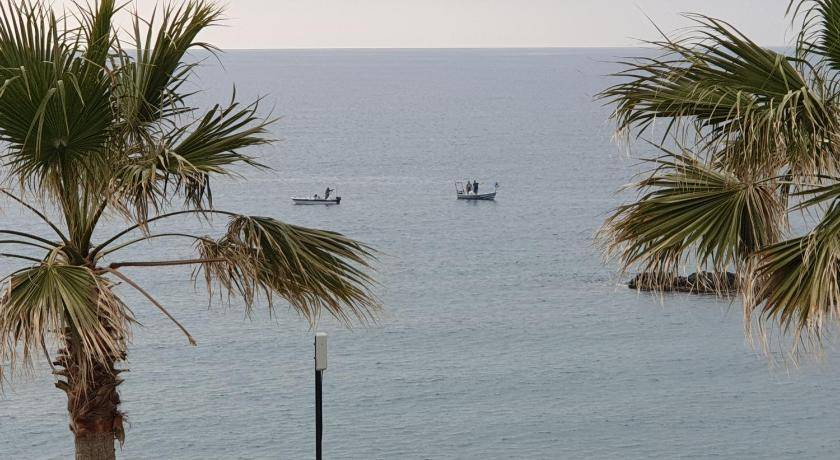 Photo of Others in Pomos