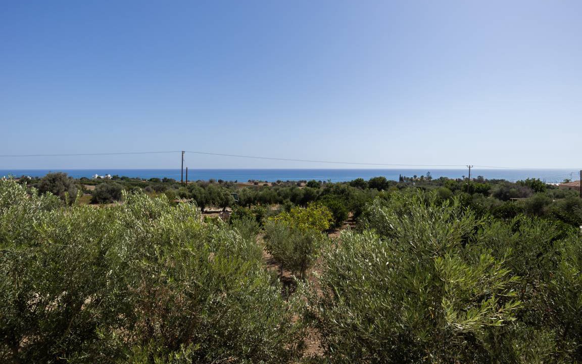 Photo of Others in Agios Theodoros