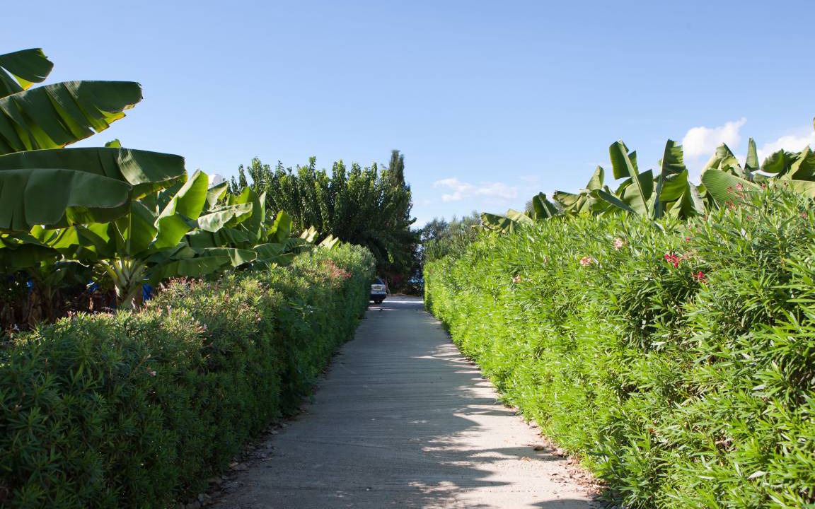 Photo of Outdoor in Kissonerga