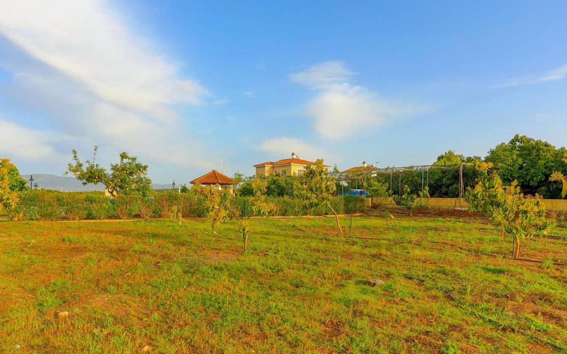 Photo of Outdoor in Latchi