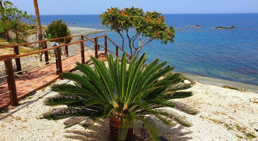 Photo of Others in Pomos