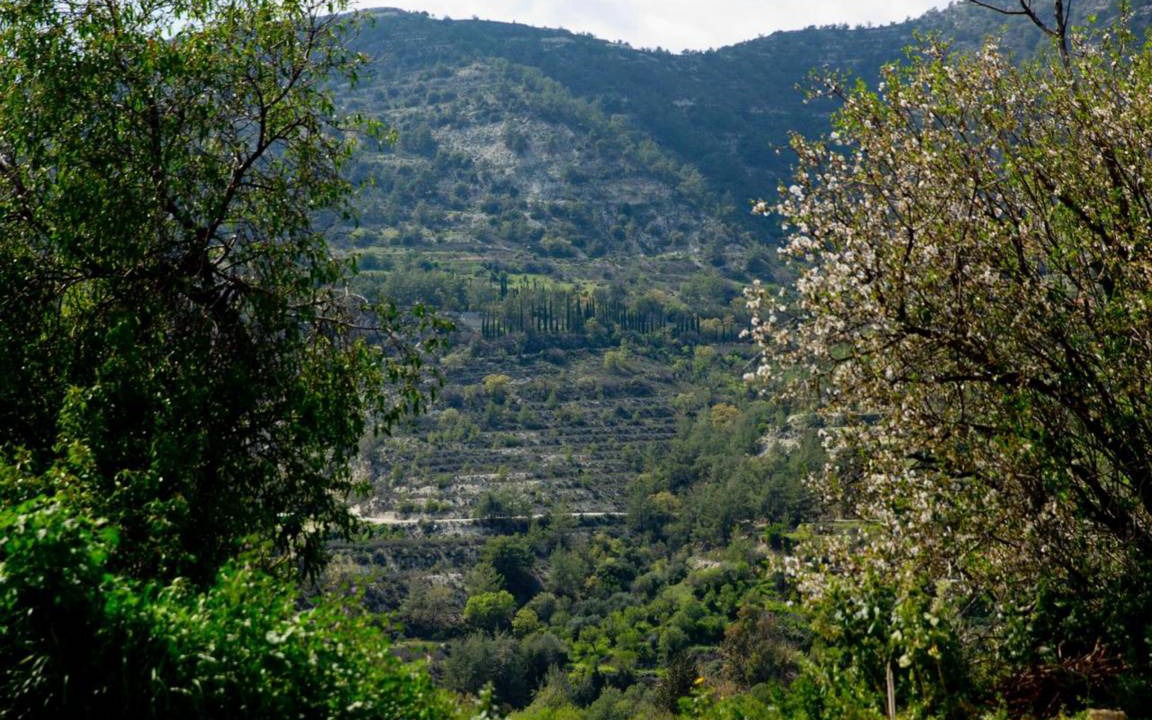 Photo of Others in Dhoros