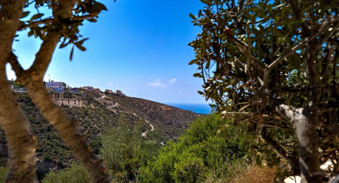 Photo of Others in Aphrodite Hills