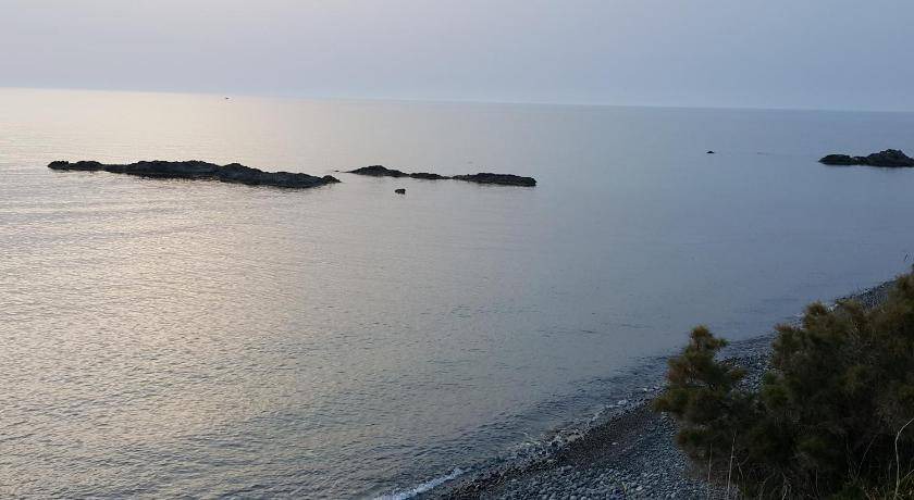 Photo of Others in Pomos