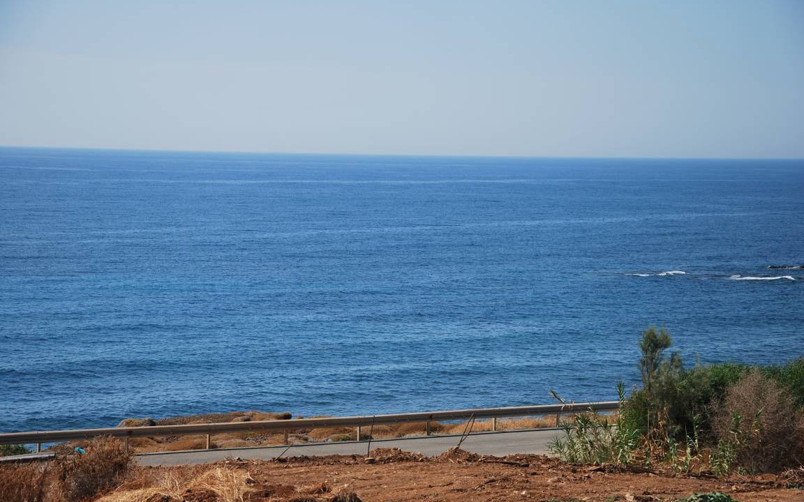 Photo of Others in Pomos