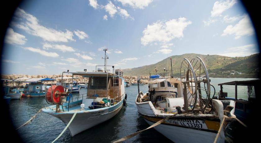 Photo of Others in Pomos