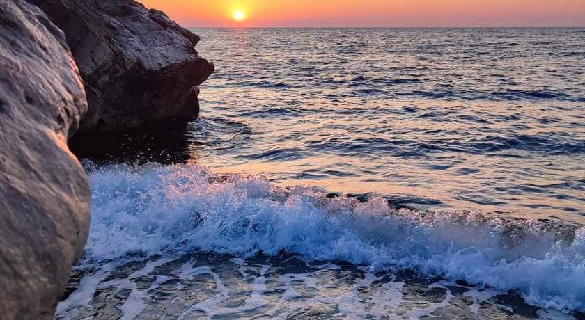 Photo of Others in Pomos