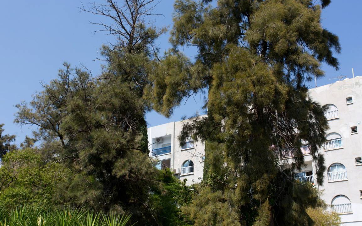 Photo of Others in Agios Tychon