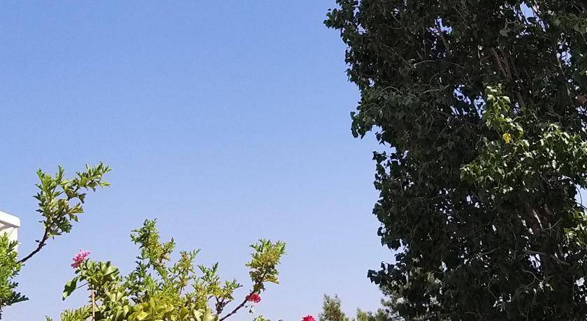 Photo of Others in Vouni