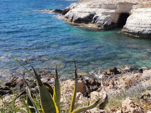 Photo of Others in Peyia Town