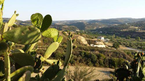 Photo of Others in Pano Arodhes